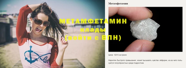 ГАЛЛЮЦИНОГЕННЫЕ ГРИБЫ Вязьма