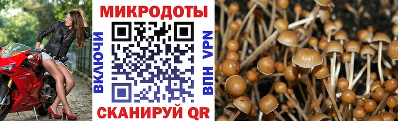 Псилоцибиновые грибы Magic Shrooms  блэк спрут маркетплейс  Назарово  где можно купить  