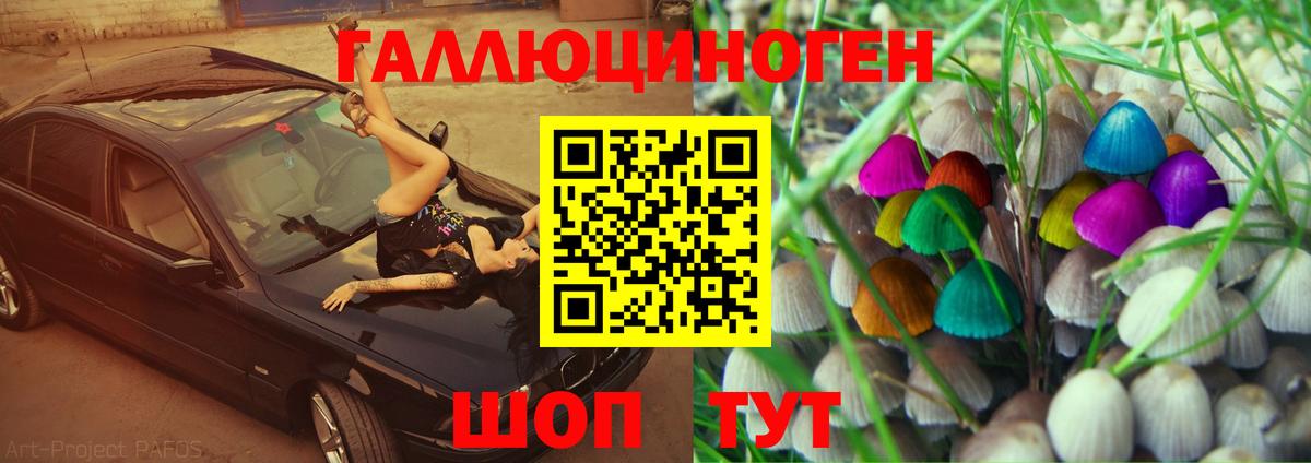 Псилоцибиновые грибы GOLDEN TEACHER  Вход с VPN  Назарово 